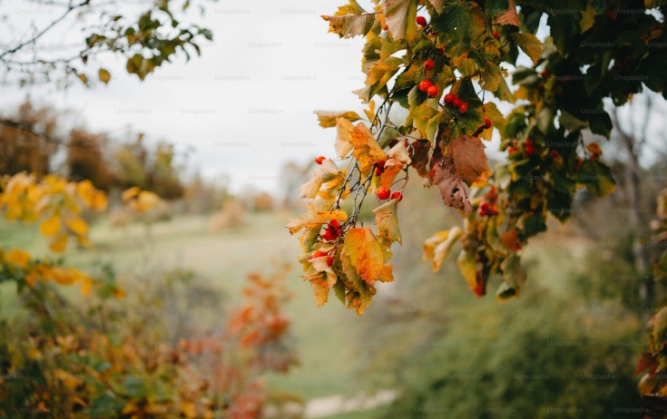 Sabah 20 dərəcə isti olacaq