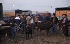 Bu rayonlardakı heyvan bazarları fəaliyyət göstərməyəcək – Xəbərdarlıq