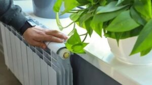 Soyuq havada bir qəpik xərcləmədən evinizi belə isidin