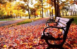 Payızda yaz havası – 22 dərəcə isti olacaq