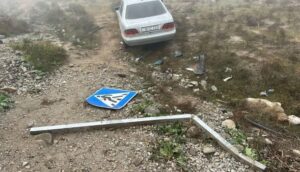 “Mercedes” qoyun sürüsünə girdi, onlarla heyvan tələf oldu – FOTO