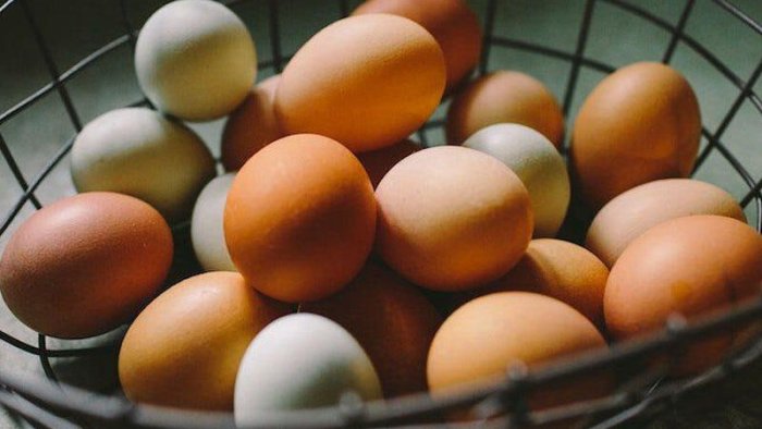 Kənd yumurtası bahalaşdı – VİDEO