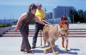 Evdə şir saxlayan ailənin DƏHŞƏTİ: heyvan qadını qısqandı, oğlunu parçaladı, özünü şikəst etdi
