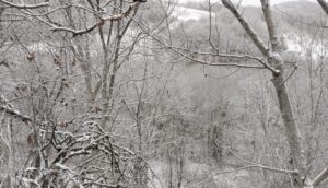 Ağdərəyə ilk qar yağdı – FOTOLAR