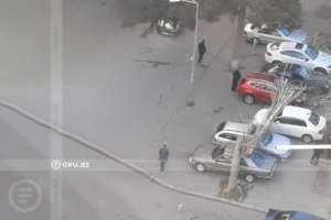 Bakıda ağac maşınların üstünə aşdı – VİDEO