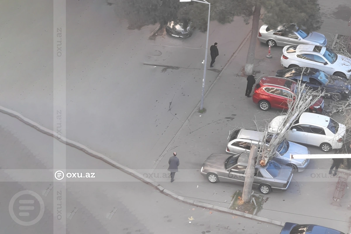 Bakıda ağac maşınların üstünə aşdı – VİDEO