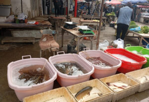 Bu rayonların ərzaq bazarlarında monitorinq aparıldı – VİDEO