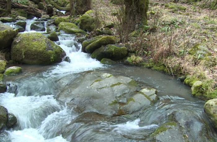 Yuxuda su görmək necə yozulur?
