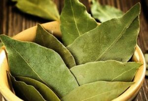 Evdə demək olar ki, hamının var: Dəfnə yarpağının bilinən və bilinməyən FAYDALARI