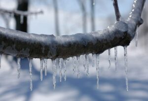 Sabah da qar yağacaq, 15 dərəcə şaxta olacaq