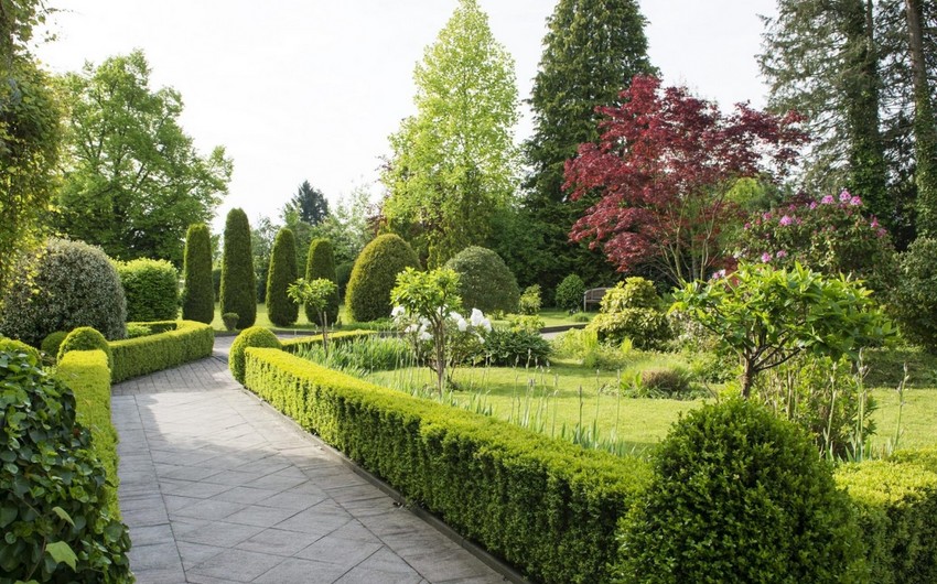 Azərbaycanda yeni park salınır – FOTO