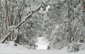 Yarım metr qar, 20 dərəcə şaxta – FAKTİKİ HAVA