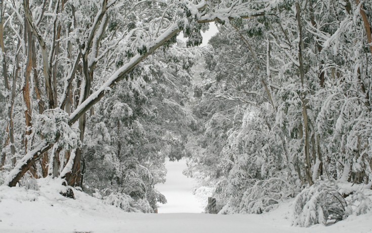 Bu rayonlara qar yağacaq – Sabahın HAVASI