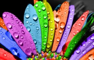 Ağıllı insanlar bu rəngi sevir