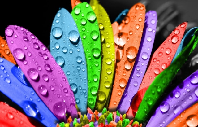 Ağıllı insanlar bu rəngi sevir