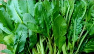 Dünyanın ən sağlam tərəvəzi seçildi