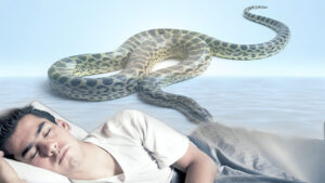 Yuxuda ilan görmək hansı mesajı verir? – Yuxu yozumu