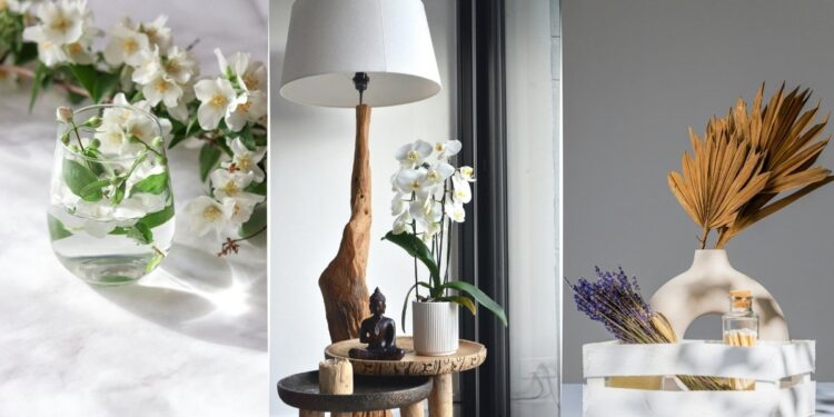 Evinizdəki mənfi enerjini təmizləyəcək 10 BİTKİ