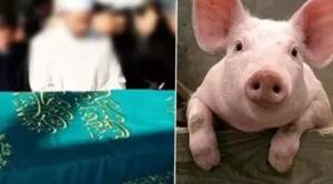 Bu da oldu – Atasına donuz ətindən ehsan verdi