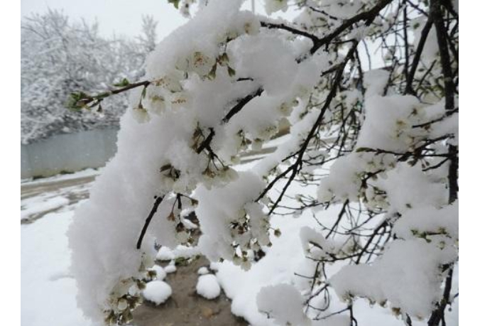 Sulu qar, qar yağacaq, 16 dərəcə şaxta olacaq – BU TARİXDƏ