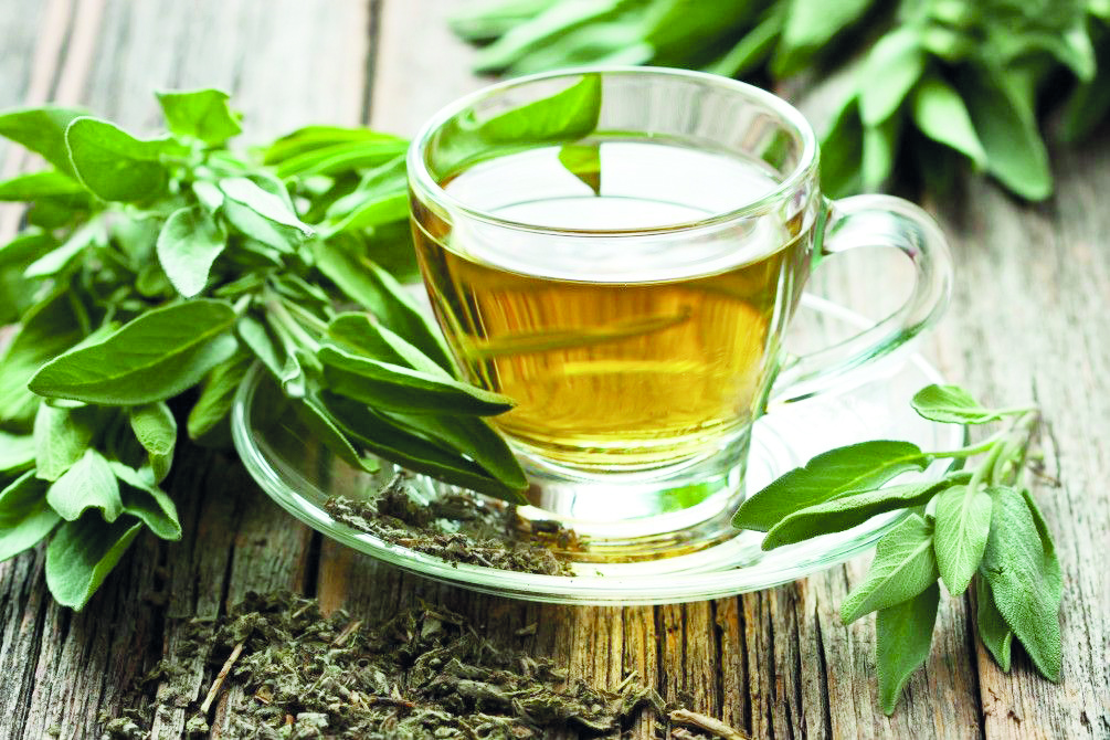 Adaçayının (şalfey) faydaları və zərərləri